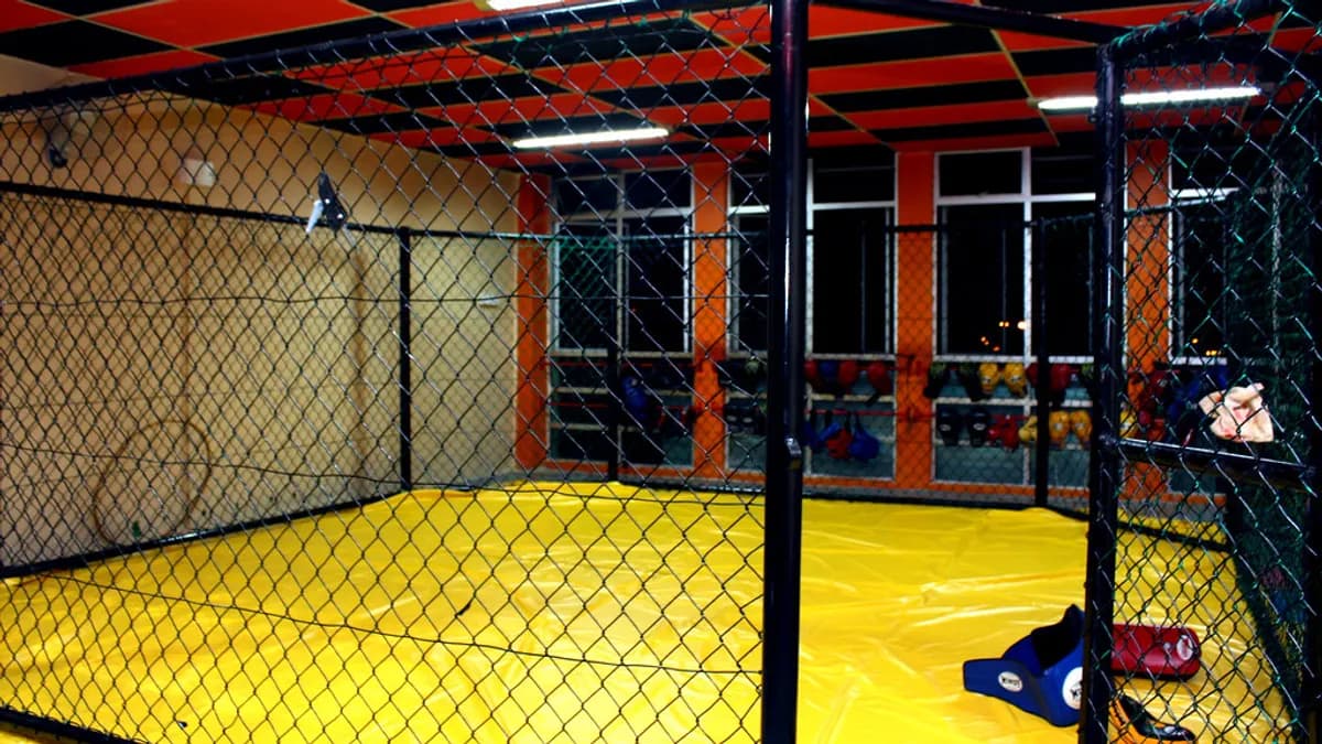 An empty MMA octagon under arena lights before a fight card